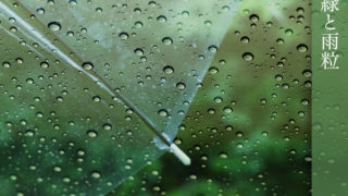 アート写真リョウ 緑と雨粒