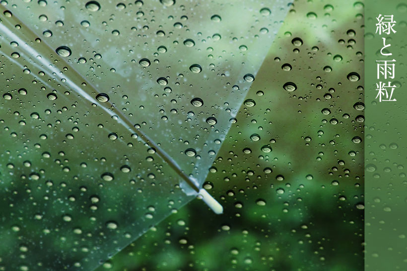 アート写真リョウ 緑と雨粒