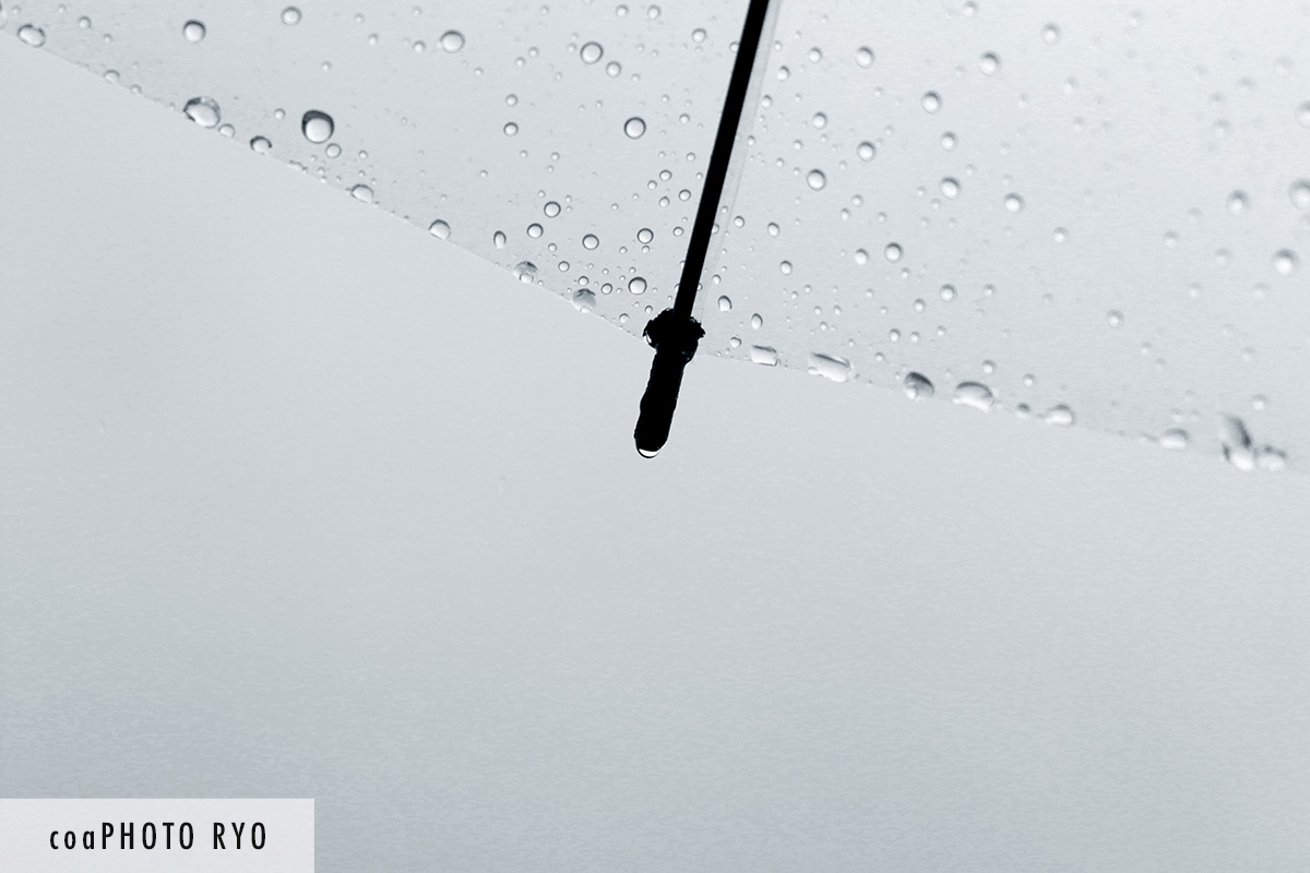 透明傘から見上げた空