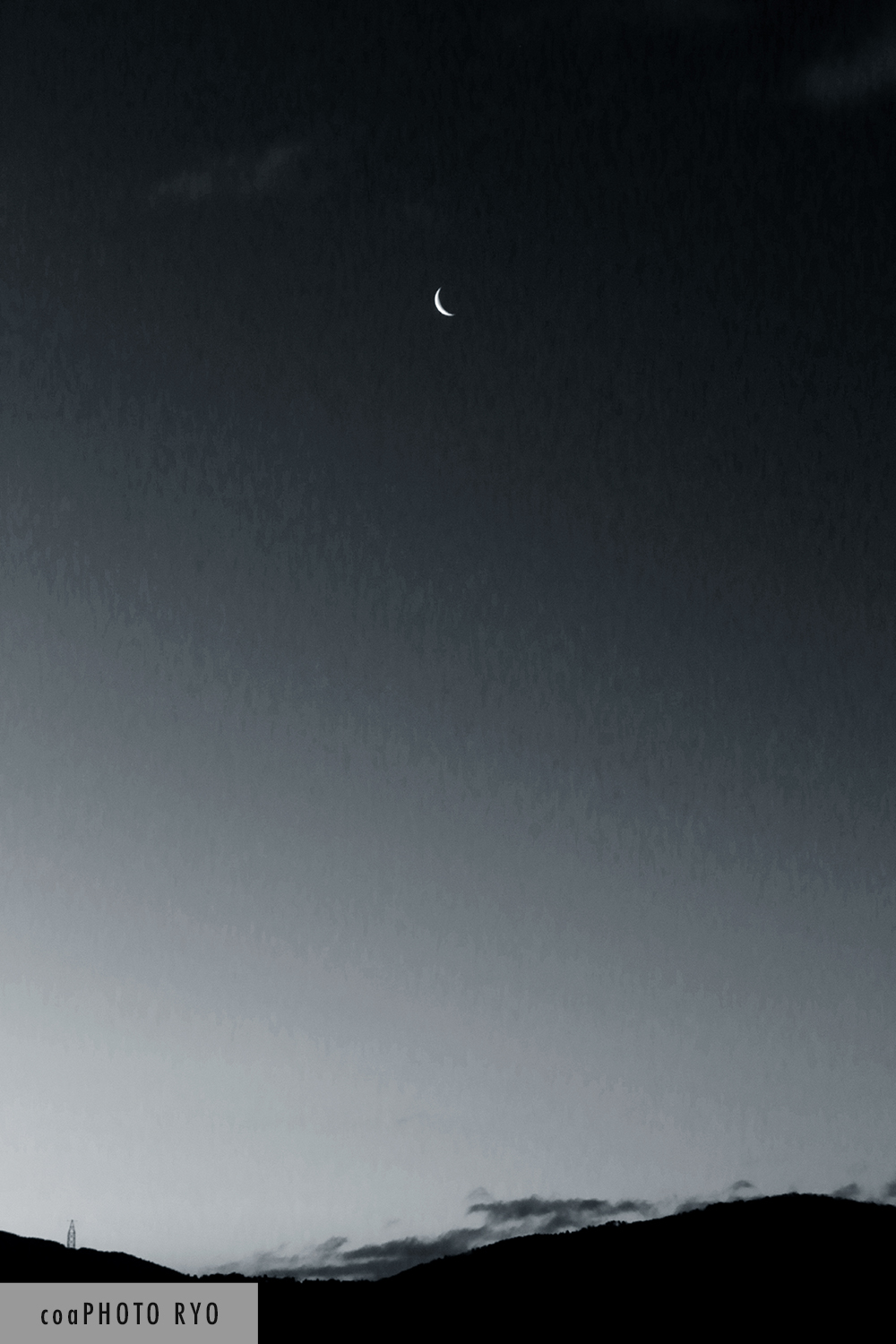 コンテストに入賞した作品