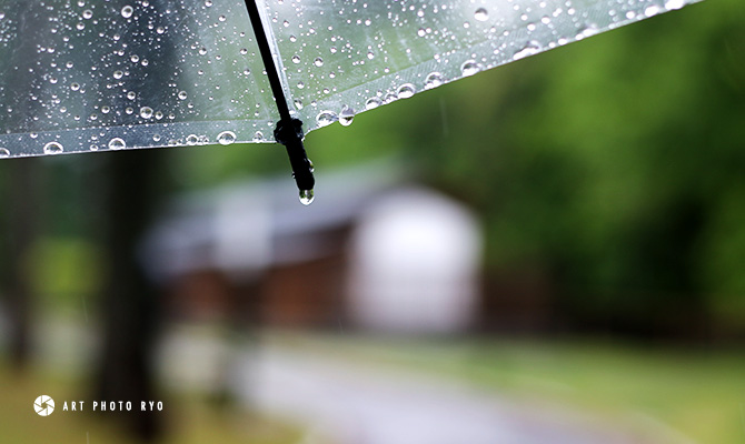 写真家リョウが撮影した雨の日の写真