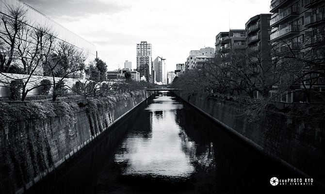 目黒川のモノクロ写真